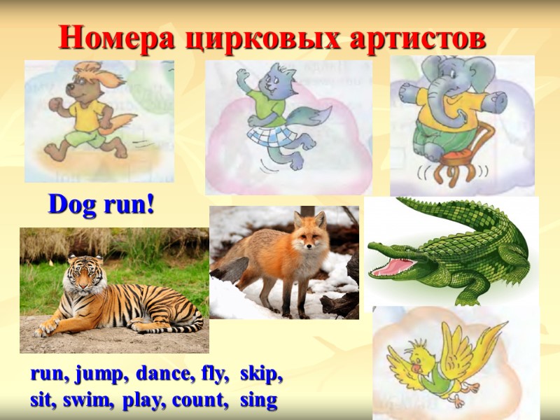 Номера цирковых артистов  Dog run!  run, jump, dance, fly,  skip, sit,